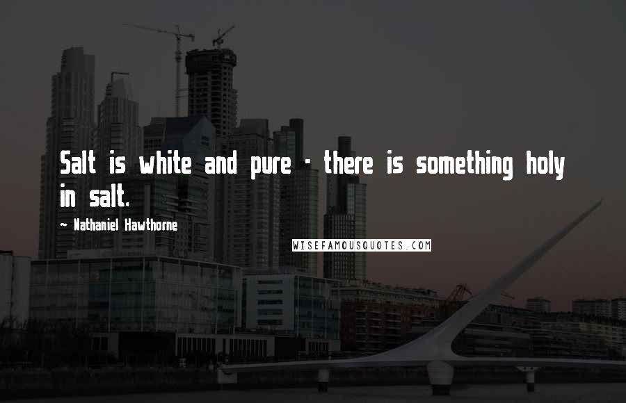 Nathaniel Hawthorne Quotes: Salt is white and pure - there is something holy in salt.