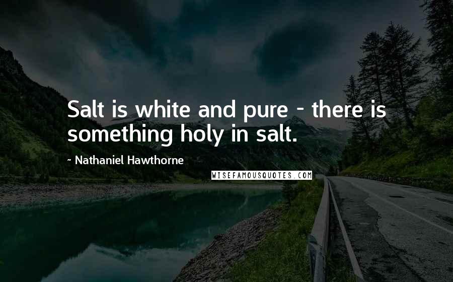 Nathaniel Hawthorne Quotes: Salt is white and pure - there is something holy in salt.