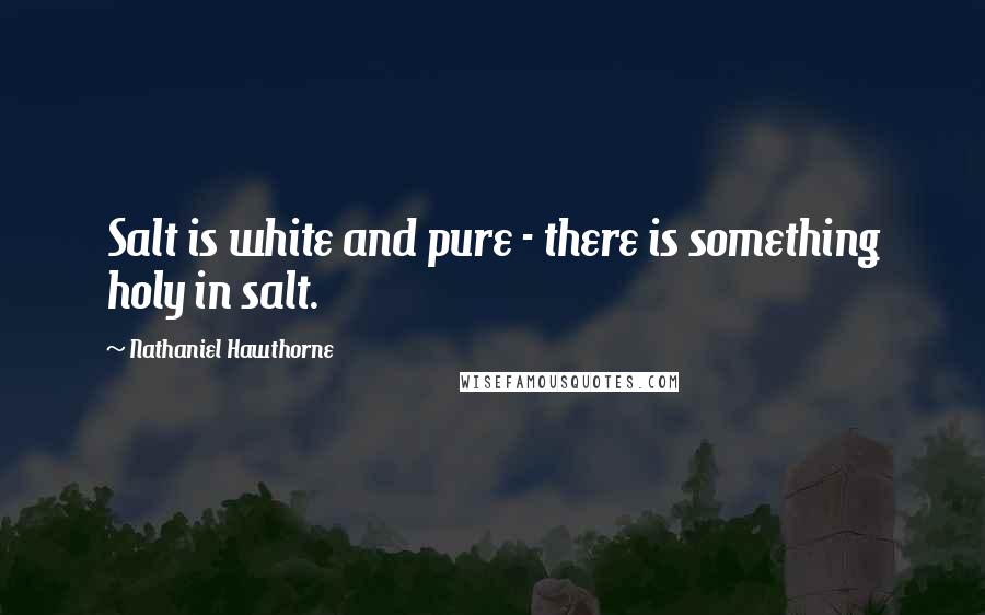 Nathaniel Hawthorne Quotes: Salt is white and pure - there is something holy in salt.