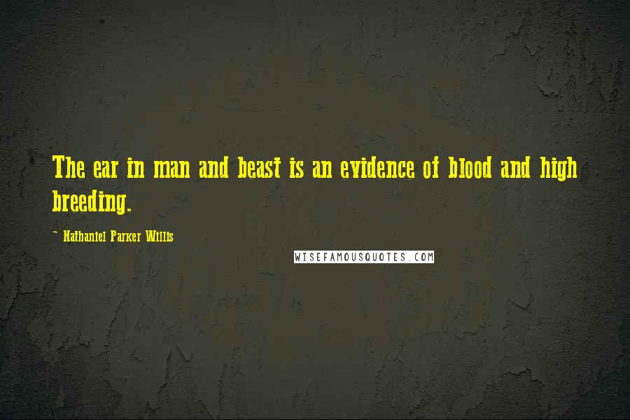 Nathaniel Parker Willis Quotes: The ear in man and beast is an evidence of blood and high breeding.