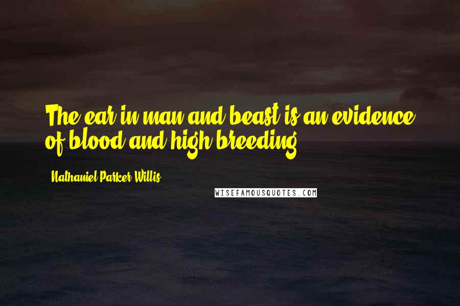 Nathaniel Parker Willis Quotes: The ear in man and beast is an evidence of blood and high breeding.