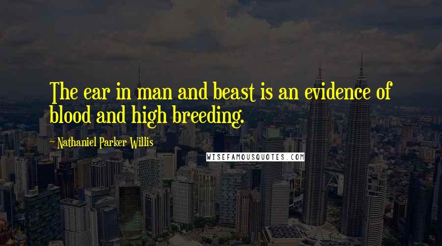 Nathaniel Parker Willis Quotes: The ear in man and beast is an evidence of blood and high breeding.
