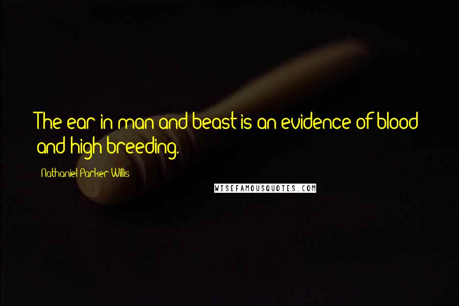 Nathaniel Parker Willis Quotes: The ear in man and beast is an evidence of blood and high breeding.