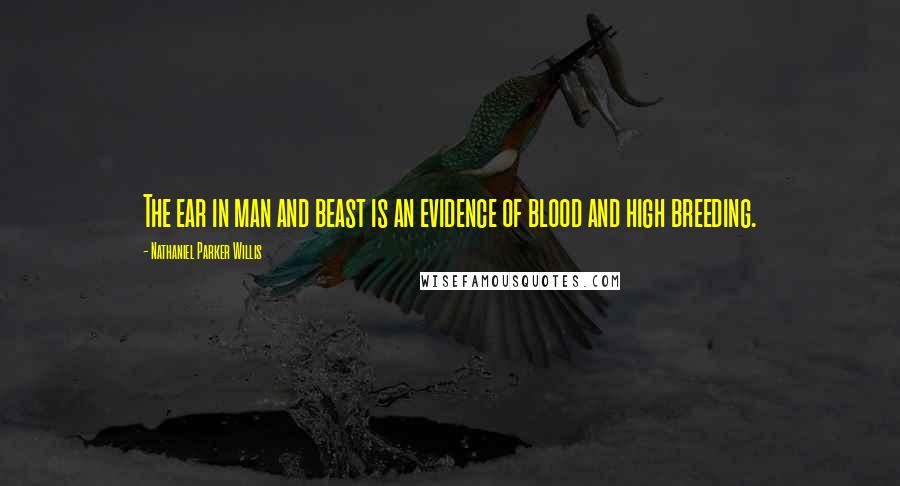 Nathaniel Parker Willis Quotes: The ear in man and beast is an evidence of blood and high breeding.