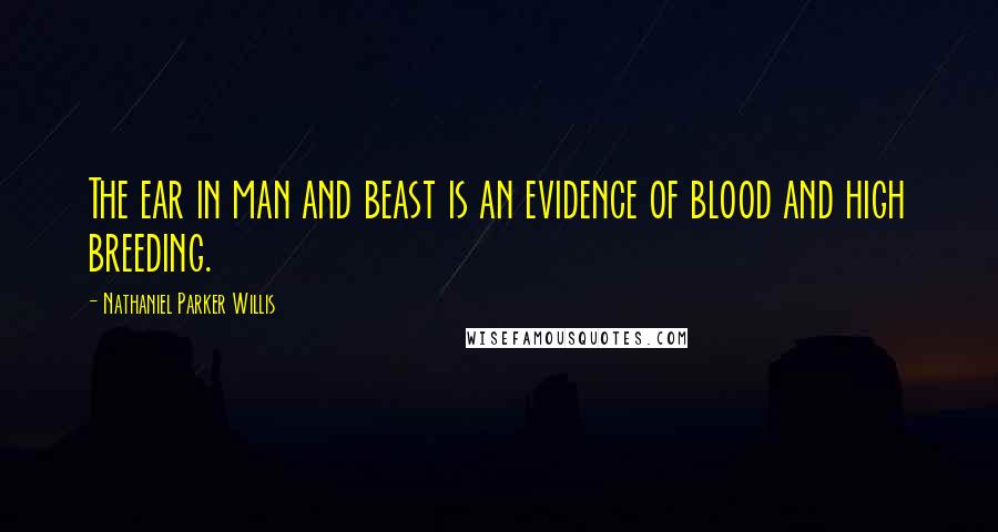 Nathaniel Parker Willis Quotes: The ear in man and beast is an evidence of blood and high breeding.