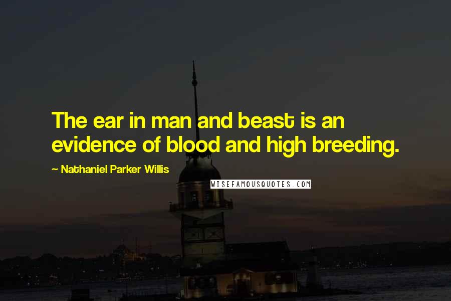 Nathaniel Parker Willis Quotes: The ear in man and beast is an evidence of blood and high breeding.