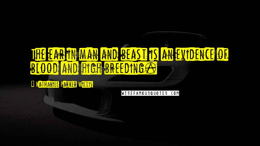 Nathaniel Parker Willis Quotes: The ear in man and beast is an evidence of blood and high breeding.