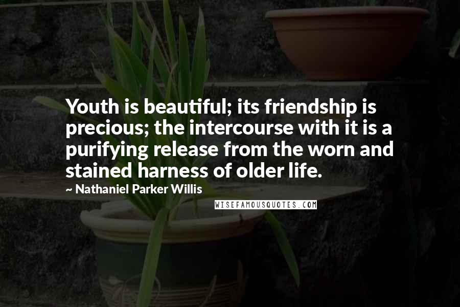 Nathaniel Parker Willis Quotes: Youth is beautiful; its friendship is precious; the intercourse with it is a purifying release from the worn and stained harness of older life.