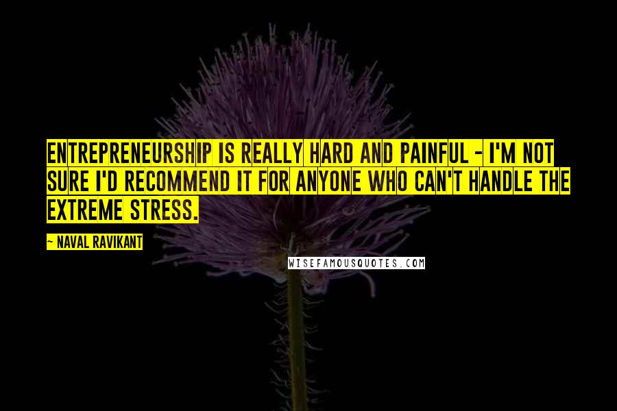 Naval Ravikant Quotes: Entrepreneurship is really hard and painful - I'm not sure I'd recommend it for anyone who can't handle the extreme stress.