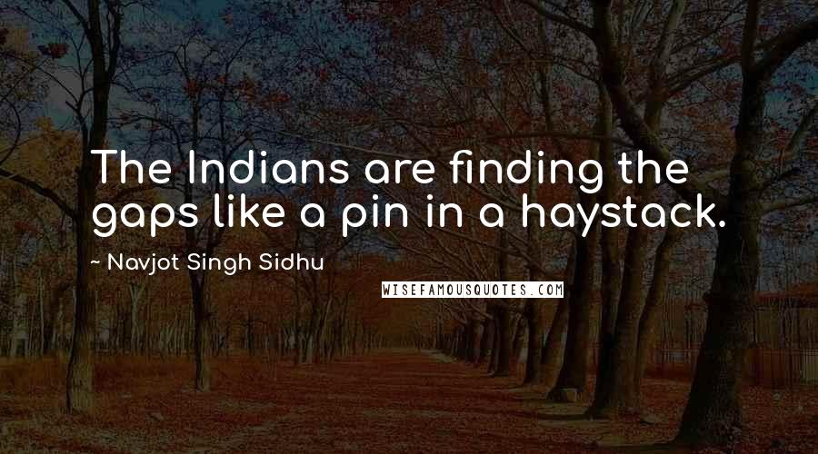 Navjot Singh Sidhu Quotes: The Indians are finding the gaps like a pin in a haystack.