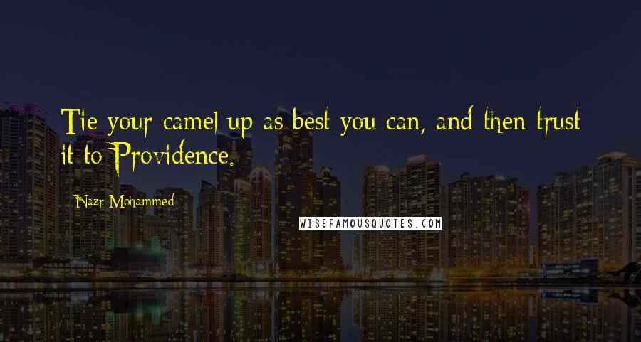 Nazr Mohammed Quotes: Tie your camel up as best you can, and then trust it to Providence.