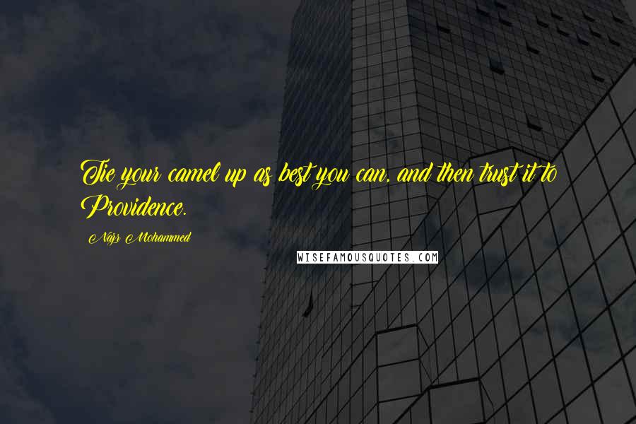Nazr Mohammed Quotes: Tie your camel up as best you can, and then trust it to Providence.