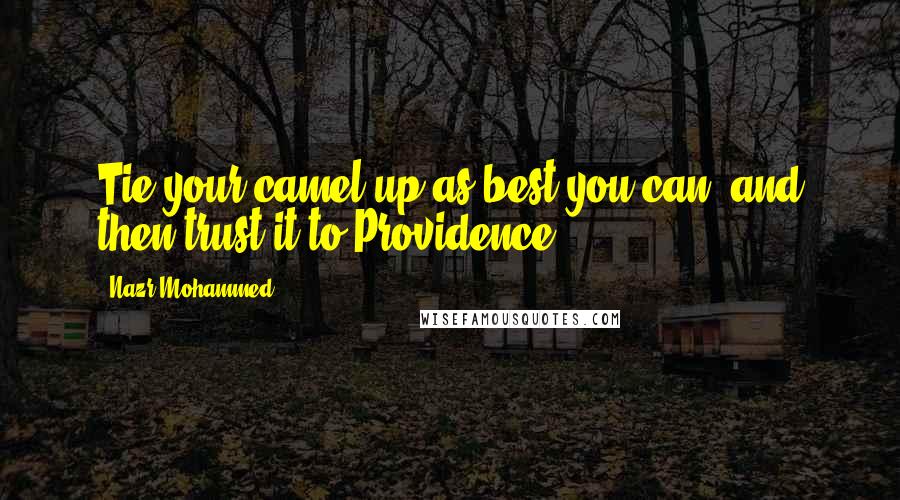 Nazr Mohammed Quotes: Tie your camel up as best you can, and then trust it to Providence.