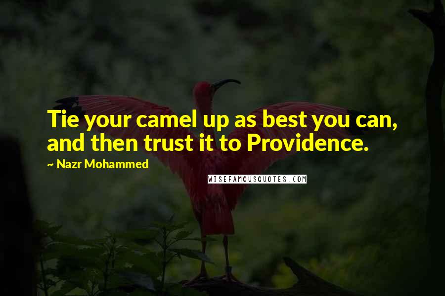 Nazr Mohammed Quotes: Tie your camel up as best you can, and then trust it to Providence.