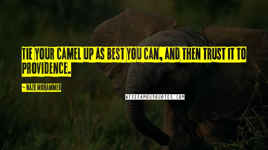 Nazr Mohammed Quotes: Tie your camel up as best you can, and then trust it to Providence.