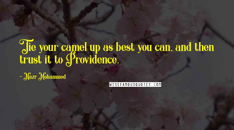 Nazr Mohammed Quotes: Tie your camel up as best you can, and then trust it to Providence.