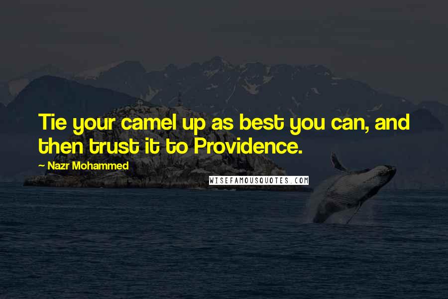Nazr Mohammed Quotes: Tie your camel up as best you can, and then trust it to Providence.