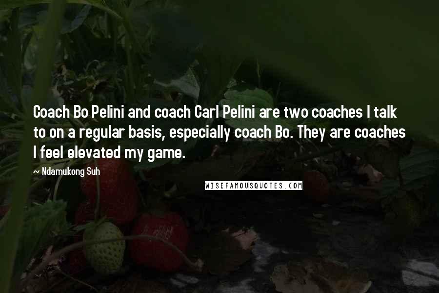 Ndamukong Suh Quotes: Coach Bo Pelini and coach Carl Pelini are two coaches I talk to on a regular basis, especially coach Bo. They are coaches I feel elevated my game.