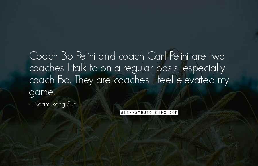 Ndamukong Suh Quotes: Coach Bo Pelini and coach Carl Pelini are two coaches I talk to on a regular basis, especially coach Bo. They are coaches I feel elevated my game.