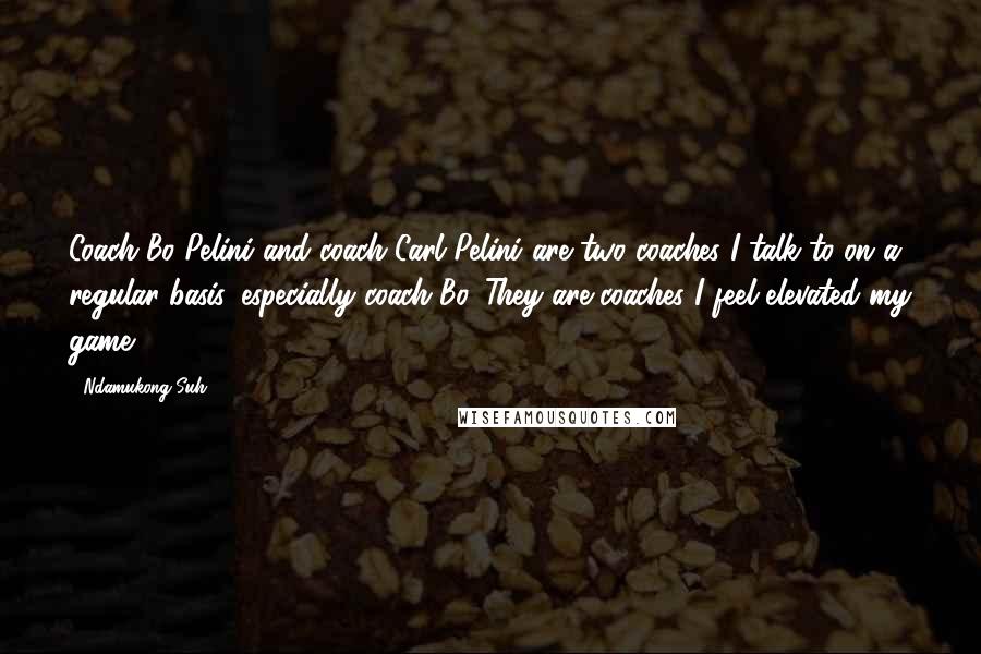 Ndamukong Suh Quotes: Coach Bo Pelini and coach Carl Pelini are two coaches I talk to on a regular basis, especially coach Bo. They are coaches I feel elevated my game.