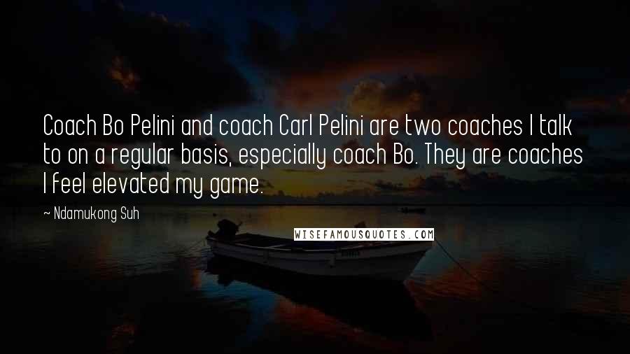 Ndamukong Suh Quotes: Coach Bo Pelini and coach Carl Pelini are two coaches I talk to on a regular basis, especially coach Bo. They are coaches I feel elevated my game.