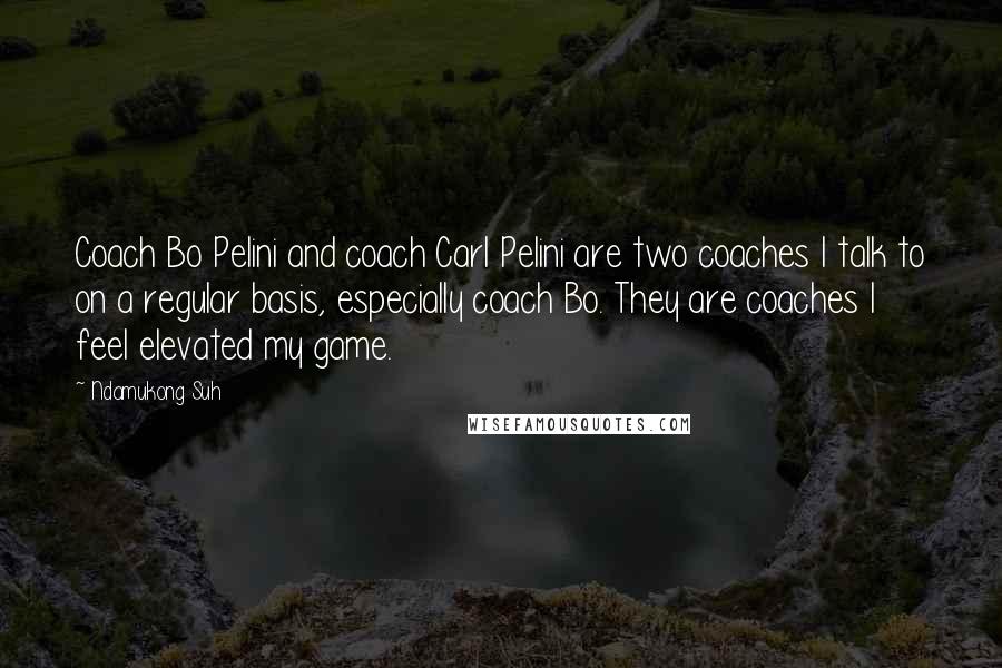 Ndamukong Suh Quotes: Coach Bo Pelini and coach Carl Pelini are two coaches I talk to on a regular basis, especially coach Bo. They are coaches I feel elevated my game.