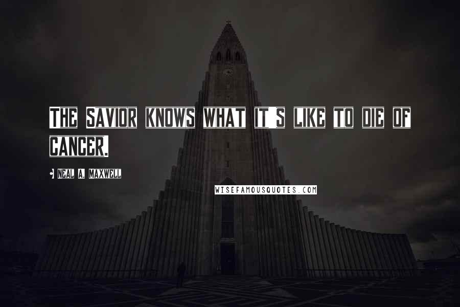 Neal A. Maxwell Quotes: The Savior knows what it's like to die of cancer.