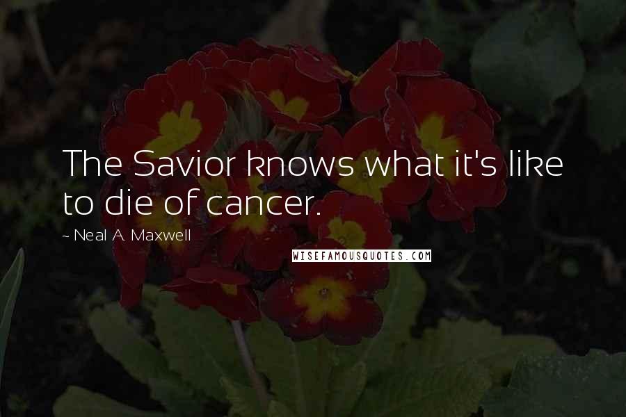 Neal A. Maxwell Quotes: The Savior knows what it's like to die of cancer.