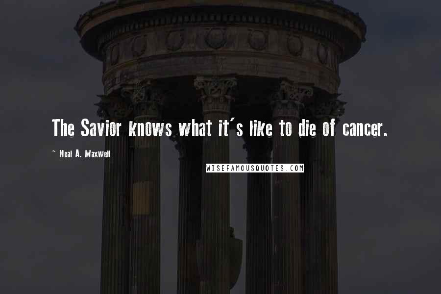 Neal A. Maxwell Quotes: The Savior knows what it's like to die of cancer.