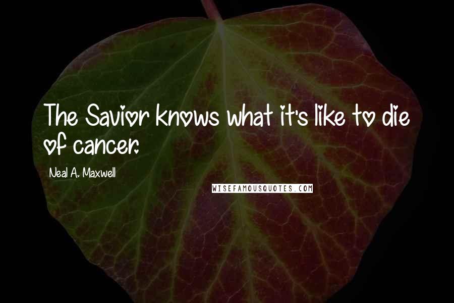 Neal A. Maxwell Quotes: The Savior knows what it's like to die of cancer.