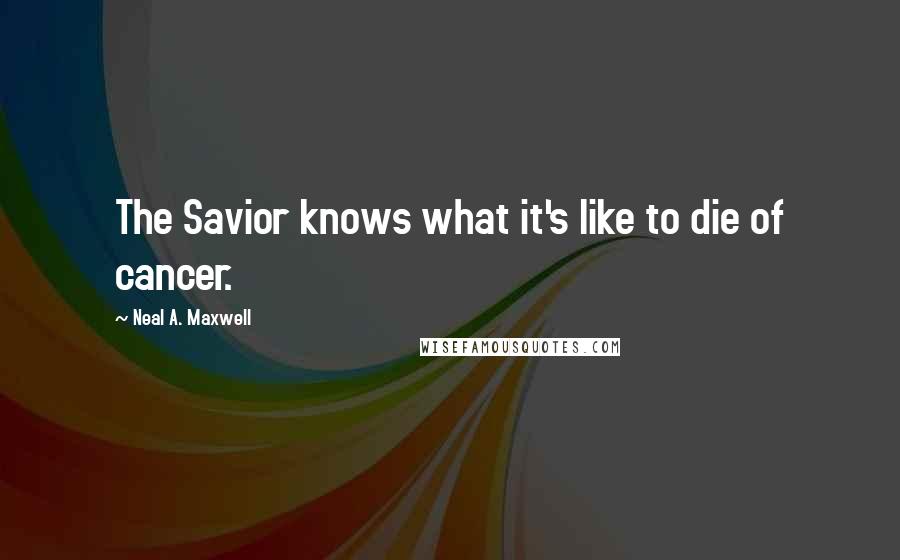 Neal A. Maxwell Quotes: The Savior knows what it's like to die of cancer.