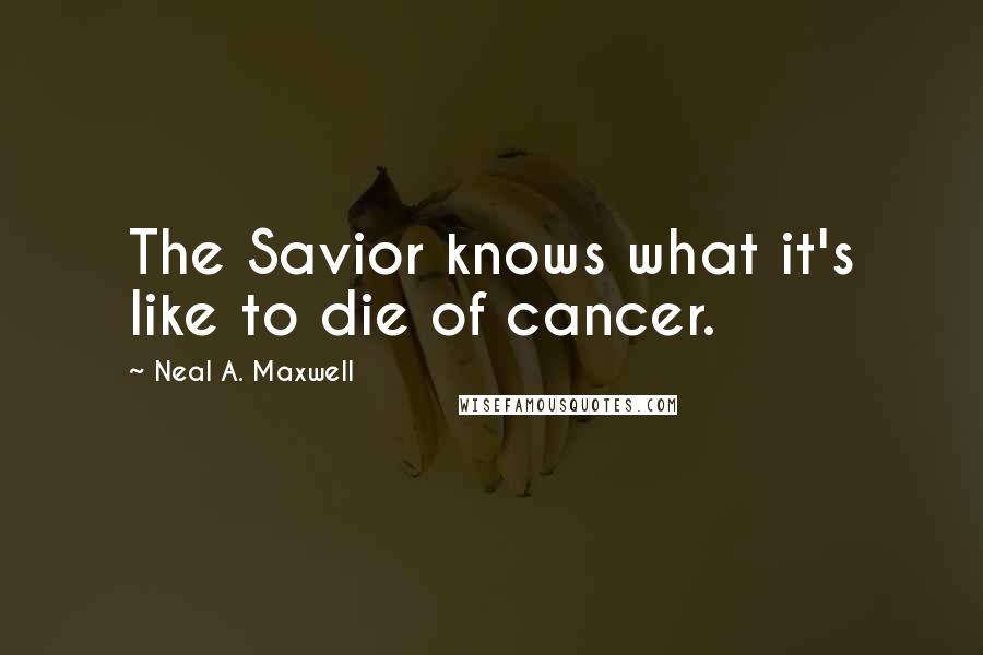 Neal A. Maxwell Quotes: The Savior knows what it's like to die of cancer.