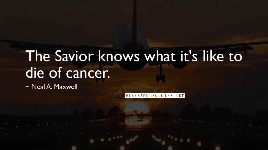 Neal A. Maxwell Quotes: The Savior knows what it's like to die of cancer.