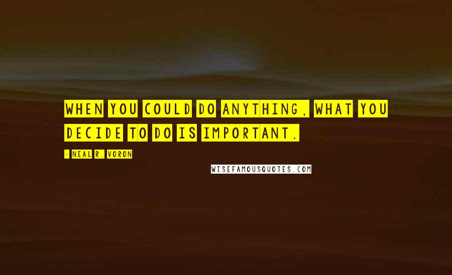 Neal R. Voron Quotes: When you could do anything, what you decide to do is important.