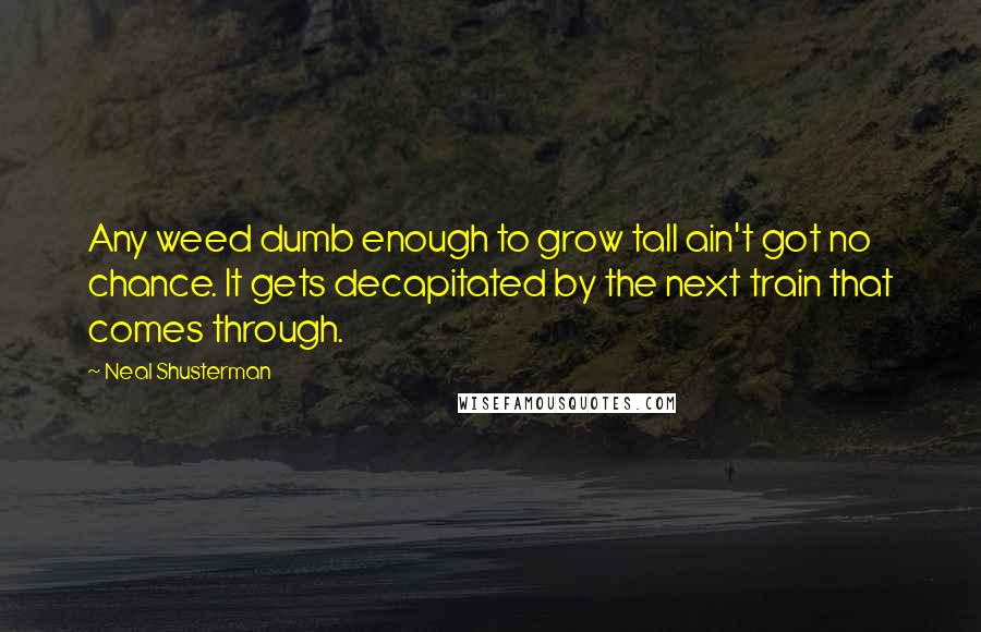 Neal Shusterman Quotes: Any weed dumb enough to grow tall ain't got no chance. It gets decapitated by the next train that comes through.