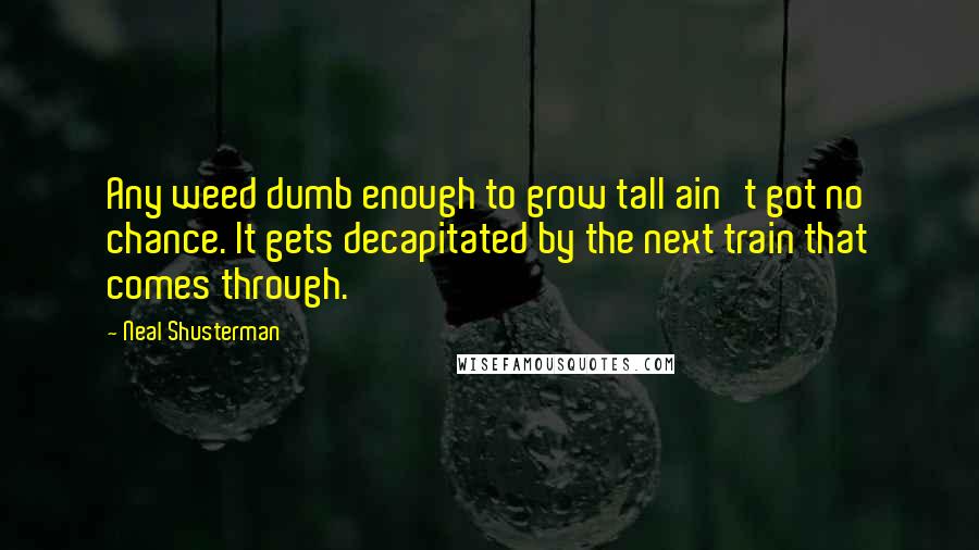 Neal Shusterman Quotes: Any weed dumb enough to grow tall ain't got no chance. It gets decapitated by the next train that comes through.