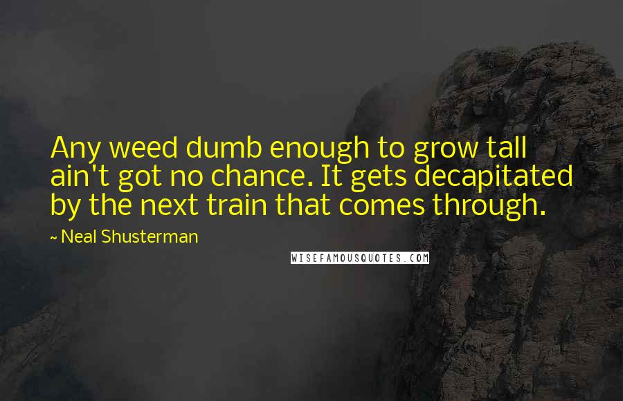 Neal Shusterman Quotes: Any weed dumb enough to grow tall ain't got no chance. It gets decapitated by the next train that comes through.