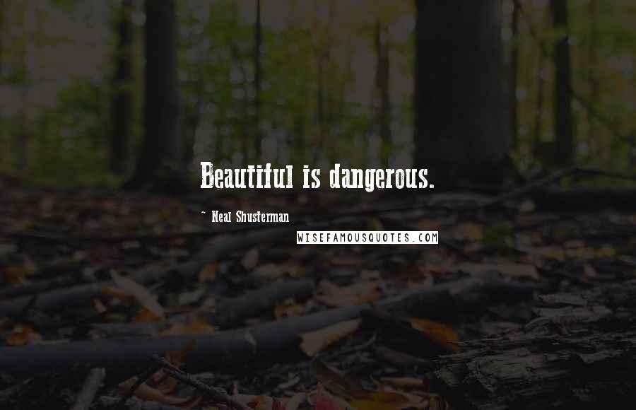 Neal Shusterman Quotes: Beautiful is dangerous.