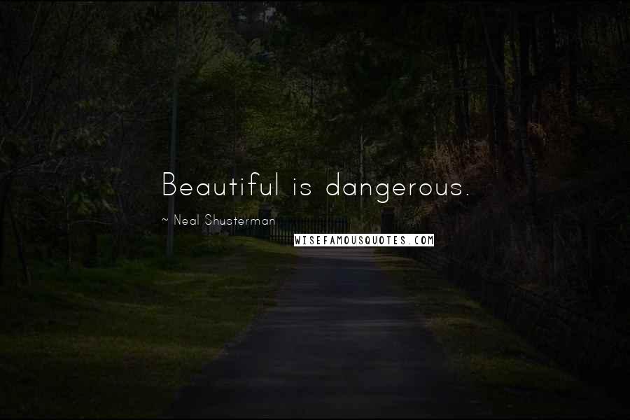 Neal Shusterman Quotes: Beautiful is dangerous.