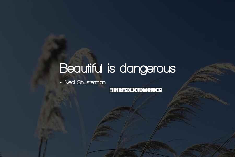 Neal Shusterman Quotes: Beautiful is dangerous.