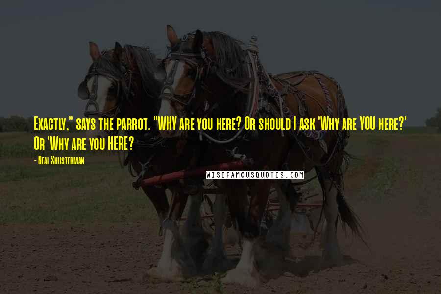 Neal Shusterman Quotes: Exactly," says the parrot. "WHY are you here? Or should I ask 'Why are YOU here?' Or 'Why are you HERE?