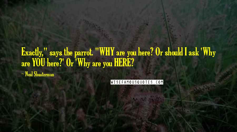 Neal Shusterman Quotes: Exactly," says the parrot. "WHY are you here? Or should I ask 'Why are YOU here?' Or 'Why are you HERE?