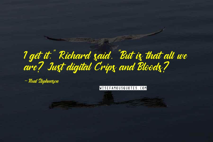 Neal Stephenson Quotes: I get it," Richard said. "But is that all we are? Just digital Crips and Bloods?