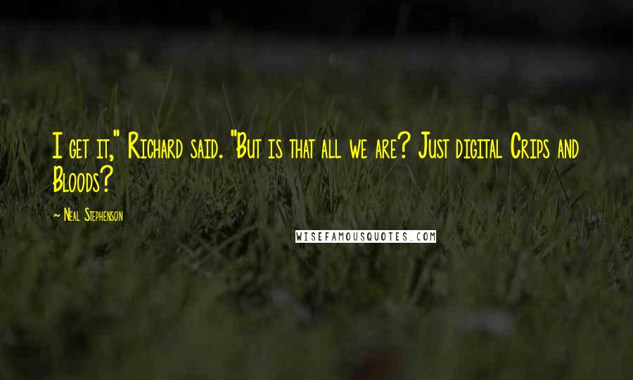Neal Stephenson Quotes: I get it," Richard said. "But is that all we are? Just digital Crips and Bloods?