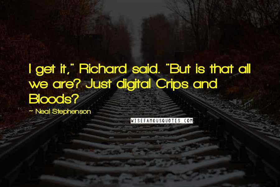 Neal Stephenson Quotes: I get it," Richard said. "But is that all we are? Just digital Crips and Bloods?