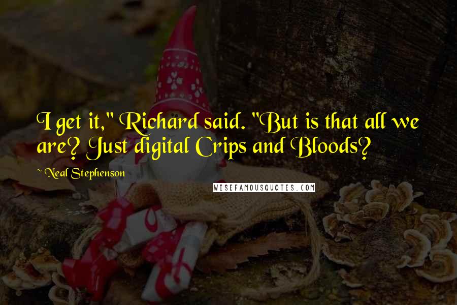 Neal Stephenson Quotes: I get it," Richard said. "But is that all we are? Just digital Crips and Bloods?