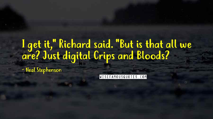 Neal Stephenson Quotes: I get it," Richard said. "But is that all we are? Just digital Crips and Bloods?