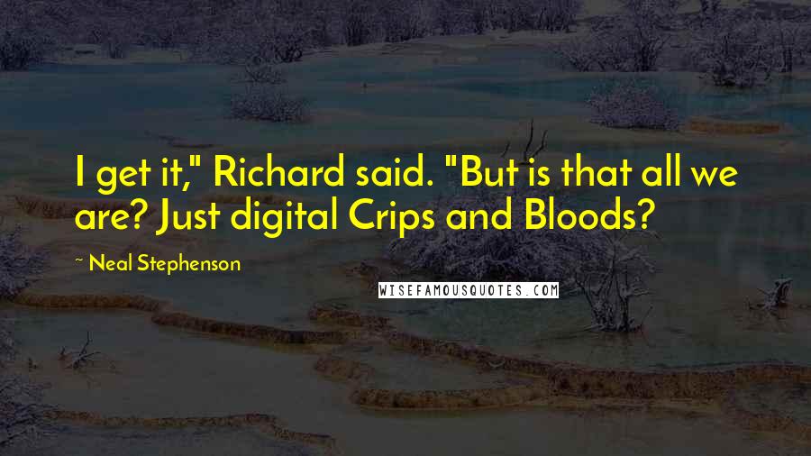 Neal Stephenson Quotes: I get it," Richard said. "But is that all we are? Just digital Crips and Bloods?