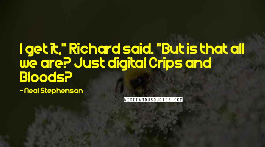 Neal Stephenson Quotes: I get it," Richard said. "But is that all we are? Just digital Crips and Bloods?