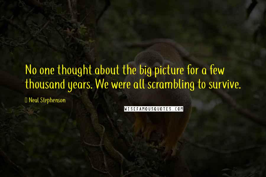 Neal Stephenson Quotes: No one thought about the big picture for a few thousand years. We were all scrambling to survive.